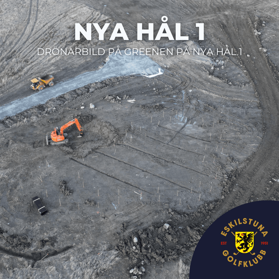 Träff med VD 1 augusti inlägg (1)